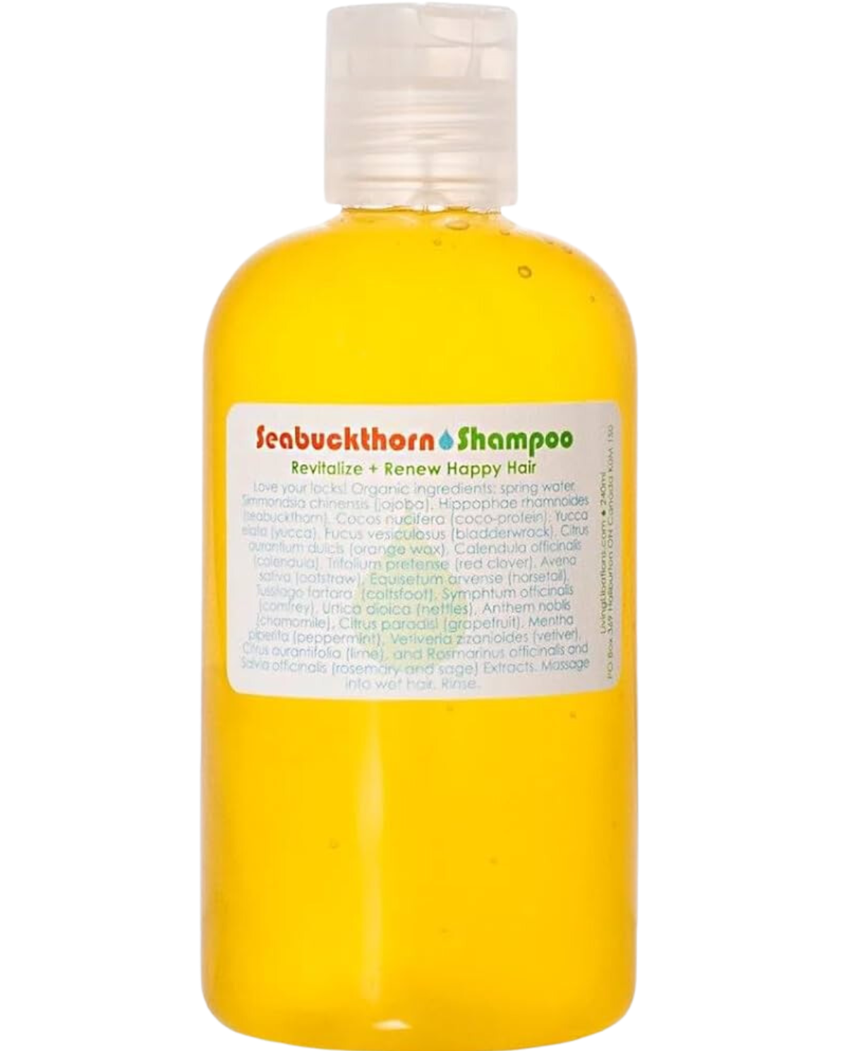 SEABUCKTHORN SHAMPOO