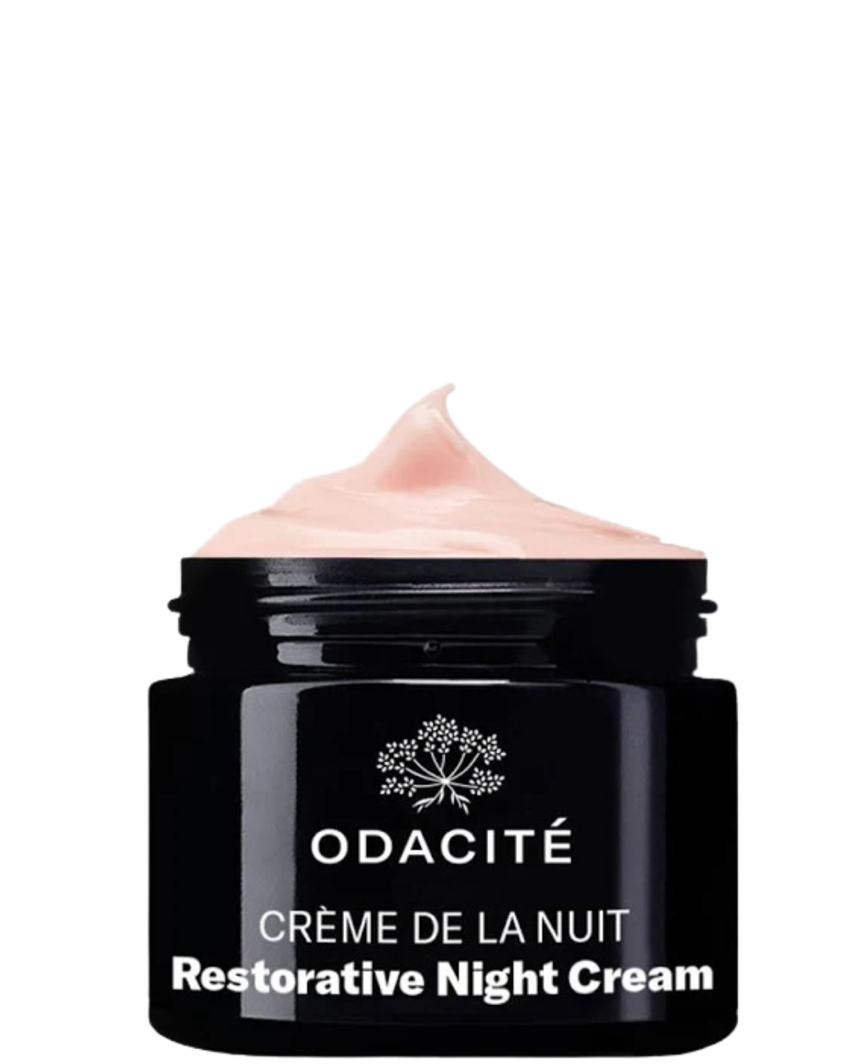 RESTORATIVE NIGHT CREAM