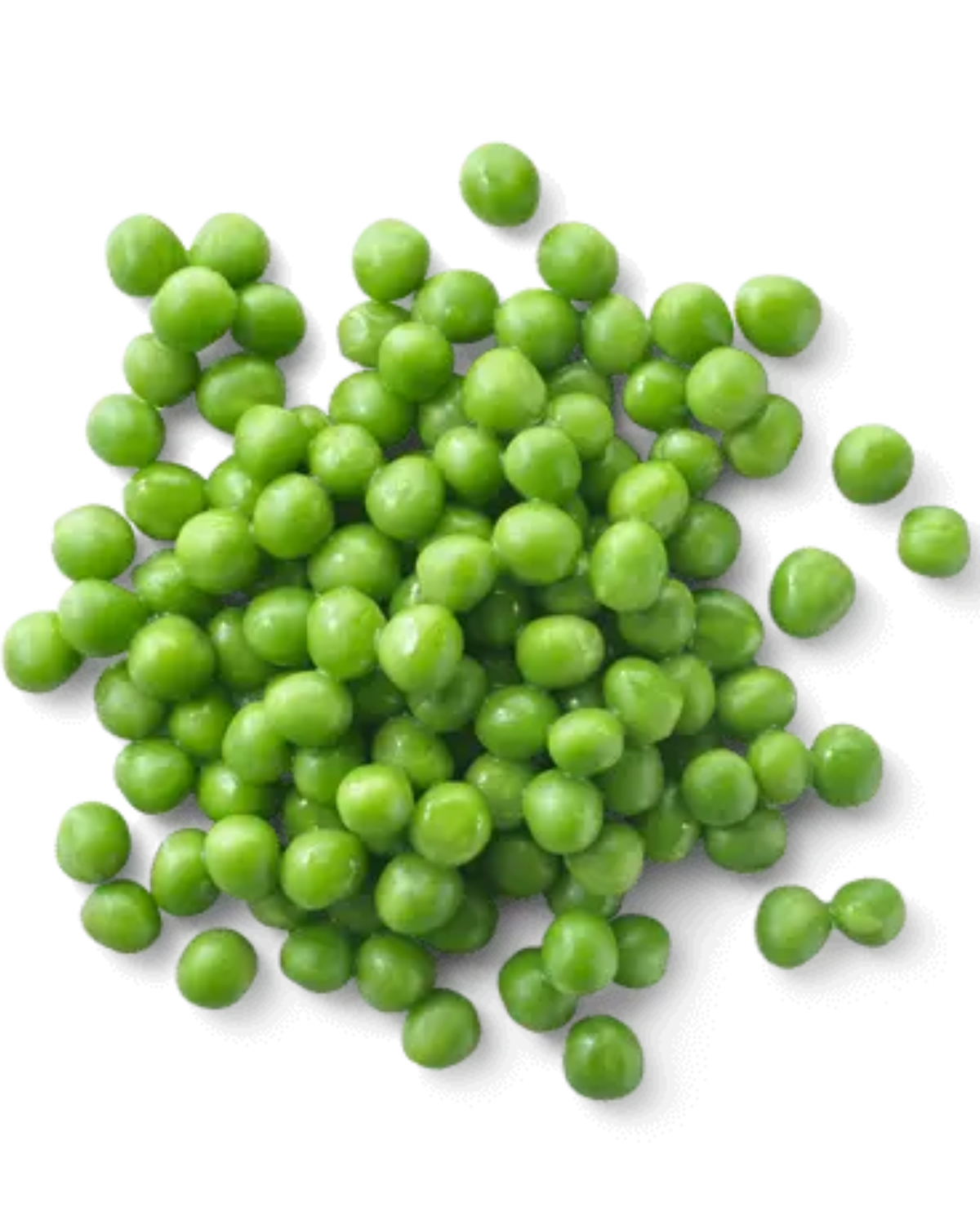 ORGANIC SWEET PEAS