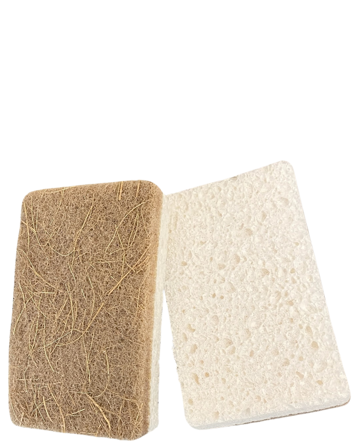 BIODEGRADEABLE SCRUBBER SPONGE