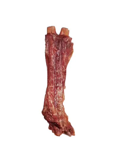 BEEF FLEXOR TENDON DOG BONE CHEW